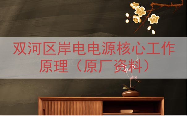 双河区岸电电源核心工作原理（原厂资料）